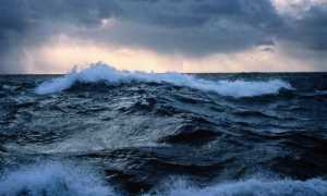 Реки которые омывают тихий океан