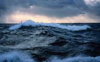 Реки которые омывают тихий океан