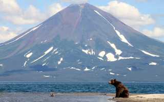 Как добраться до океана во владивостоке