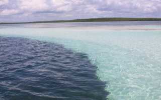 Где находится море увидела