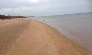 Азовское море польза моря