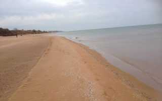 Азовское море польза моря