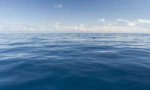 Краткое описание всех океанов земли