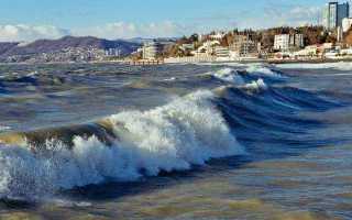 Перечислить все моря омывающие берега россии