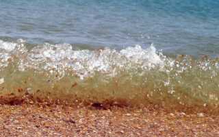 Сколько км от станицы азовской до моря