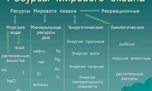 Промысловые ресурсы мирового океана