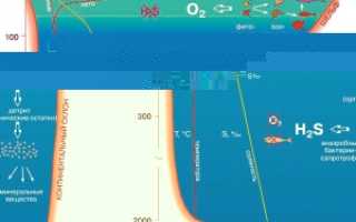 Содержание сероводорода черного моря