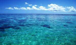 Мраморное море чем интересно