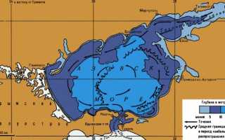 Какие морские течения азовского моря