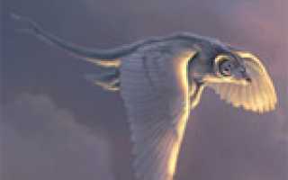 Что случилось с филиппом пираты карибского моря