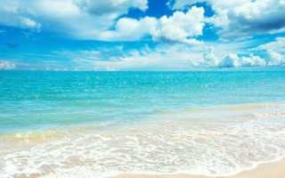 Интересные задания про океан