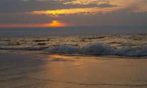 Сколько составляет соленость балтийского моря