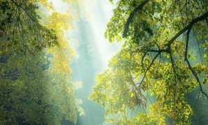 Открытка удачного дня море