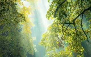 Открытка удачного дня море