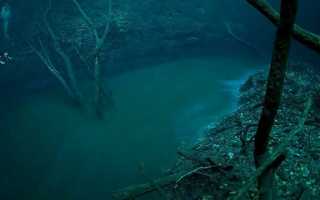 Структура мирового океана океаны моря